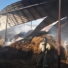 Огонь едва не перекинулся на конюшню - подоспели пожарные — newsvl.ru
