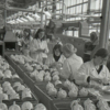 Фото с Владивостокского фарфорового завода 1971 года — newsvl.ru