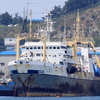 Потерявшее ход в Японском море судно «Альтаир» доставили на буксире в Приморье