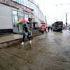 Пешеходы выходят из трамвая прямо в лужу — newsvl.ru