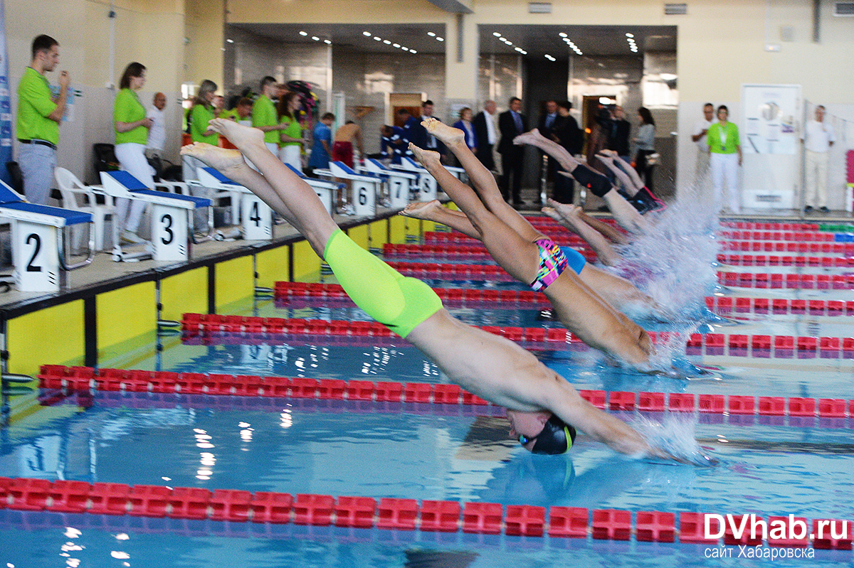 тренеры бассейн вск солнечный иркутск. плавание с аквалангом. Suzish. пловцы с большим. дальнее плавание без опыта вакансии.