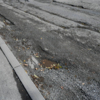 Система ливневой канализации давно требует ремонта — newsvl.ru