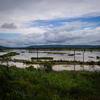 Последствия дождя — затоплены большие площади земли — newsvl.ru