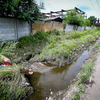 В канавах вода и мусор — newsvl.ru