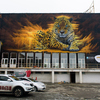 Местом для граффити был выбран фасад бывшего учебного корпуса ДВГТУ (позднее ДВФУ) — newsvl.ru