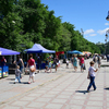 Примерно две трети прогулочной зоны заставлены торговыми точками  — newsvl.ru