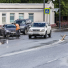 Новая промоина образовалась на улице Пограничной практически на перекрестке с Семеновской — newsvl.ru