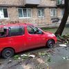 Во дворе дома по Фадеева, 6в ночью на припаркованный автомобиль Toyota FunCargo упало дерево   — newsvl.ru