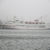 Владивосток встретил вернувшееся из дальнего похода судно туманом — newsvl.ru