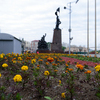 Однолетние цветы будут радовать горожан до наступления первых холодов — newsvl.ru