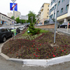 Более 400 тысяч различных цветов украсят газоны и клумбы Владивостока в этом году — newsvl.ru