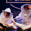 Beezzz представил на сцене пчел и пчеловодов — newsvl.ru