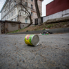 Из-за постоянного невывоза мусора бытовые отходы разносятся ветром по центральным улицам Владивостока — newsvl.ru