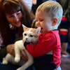 Котик готов к переезду в новую семью — newsvl.ru