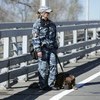 Антитеррористическую безопасность обеспечивали и кинологи — newsvl.ru