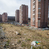 В основном дороги между домами остались не убраны от мусора — newsvl.ru