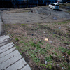 Лужайка справа от дороги забросана мусором — newsvl.ru