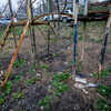 Детская площадка, а точнее то, что от нее осталось, также осталась неубранной — newsvl.ru