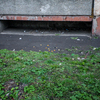 Под балконами бытовые отходы как лежали, так и лежат, добавился и новый мусор — newsvl.ru