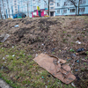 Однако мусор на косогорах так никто и не убрал — newsvl.ru