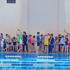 900 молодых пловцов выступили на соревнованиях «Дельфиненок» — newsvl.ru