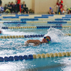 Юные пловцы выступили на традиционных соревнованиях по плаванию «Дельфиненок» — newsvl.ru