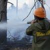 За последний месяц региональные лесопожарные службы в Приморье ликвидировали 58 пожаров на площади более 600 га. Фото предоставлено пресс-службой администрации Приморского края — newsvl.ru