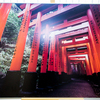 Красные ворота-тории в одном из самых известных храмов Киото - Фусими Инари — newsvl.ru