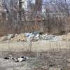 На месте мусорных куч появятся лавочки и урны — newsvl.ru
