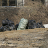Весь мусор собрали в пакеты — newsvl.ru