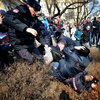 С одним из задержанных полицейские покатились по косогору — newsvl.ru