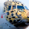 На борту самолета изображена редчайшая кошка на планете, один из символов Приморского края – дальневосточный леопард — newsvl.ru