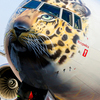 Самолет встречали представители аэропорта и сотрудники нацпарка «Земля леопарда» — newsvl.ru