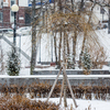 Городская серость под снегом смотрится мило и душевно — newsvl.ru