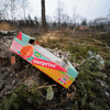 Эксперты оценивают ущерб, нанесенный экологии края — newsvl.ru