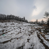 Информация о вырубке деревьев поступила от местных жителей — newsvl.ru