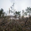 Эксперты оценивают ущерб, нанесенный экологии края — newsvl.ru