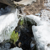 Даже в феврале под коркой льда тут можно увидеть зеленую траву — newsvl.ru