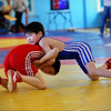 Юные борцы выступали в двух возрастных группах: 13-15 лет, и 12 лет и младше — newsvl.ru