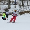 Ребята участвовали в открытом первенстве Артемовского городского округа по горнолыжному спорту  — newsvl.ru