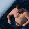 Настоящими считаются "моржи", которые плавают каждый день — newsvl.ru