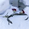 У основания памятника в снегу лежат гвоздики, перевязанные траурной лентой — newsvl.ru