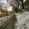 Горожане жалуются на нечищеные тротуары  — newsvl.ru
