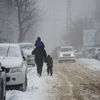 Дети всегда рады снежной прогулке  — newsvl.ru