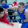 Впервые в чемпионате Владивостока приняли участие боксеры из Китая — newsvl.ru