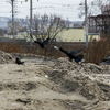 Пустырь у моря страдает летом от мусора, зимой - от снега — newsvl.ru
