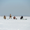 Сотрудники МЧС просят рыбаков подождать, пока не завершится ледостав — newsvl.ru