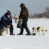 Пока рыбаки ловят рыбу недалеко от берега — newsvl.ru