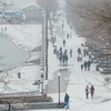 Во время снегопада все в городе кажется более сказочным и посвежевшим — newsvl.ru