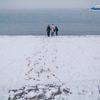 Для кого-то снегопад - это любимое время, чтобы прогуляться на свежем воздухе — newsvl.ru
